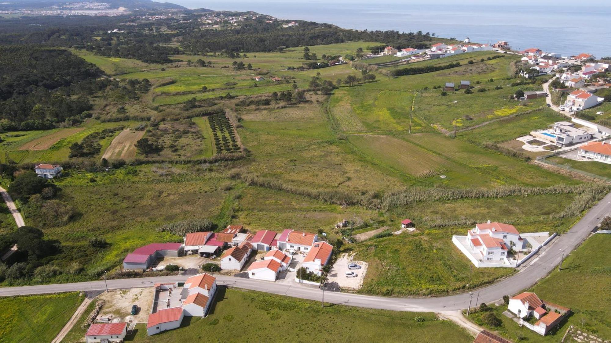 Famalicão Casas Com Amoras In Serra Da Pescaria מראה חיצוני תמונה